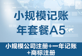 小規(guī)模記賬年套餐A5