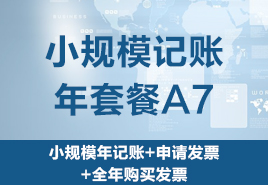 小規(guī)模記賬年套餐A7